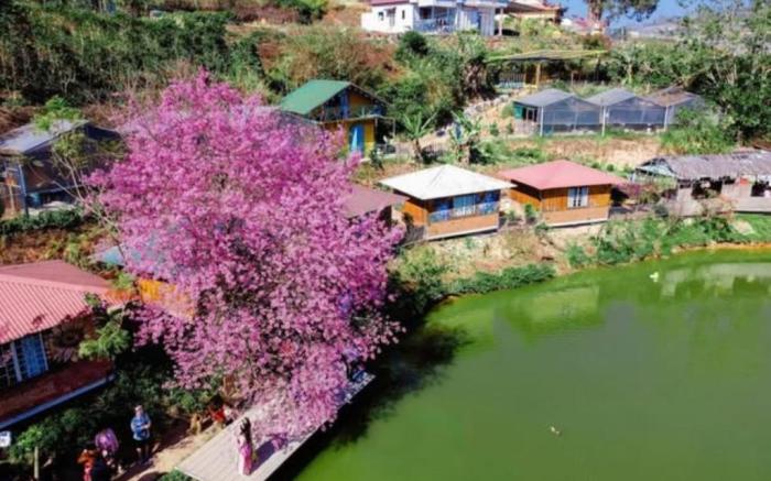 Nhà Bên Hồ - Đà Lạt Homestay