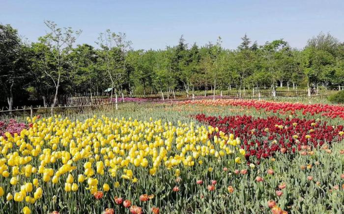 Vienna 3 Best Hotel Hefei Mingfa Plaza Silihe Road