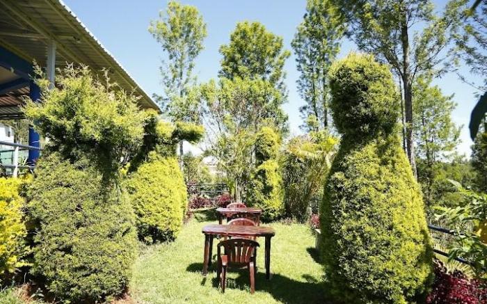 Nest Valley Kotagiri