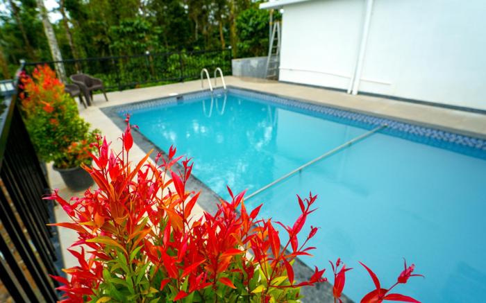 Oasis  Vythiri Pool Aparments