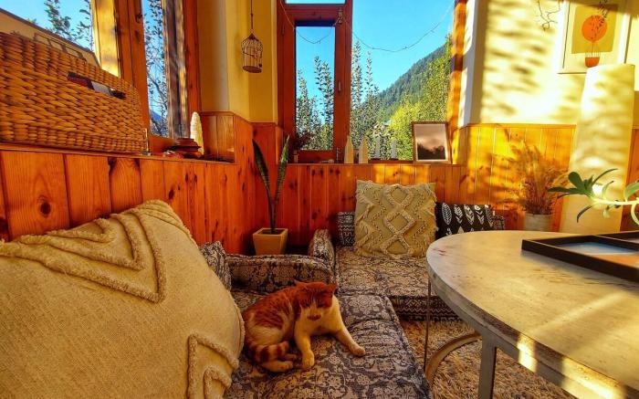 Sun Kissed Mountain View room in Wooden Cottage