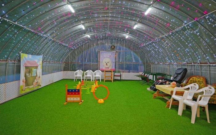 Anmyeondo Sea Garden Pension Bada-dong Pet Friendly