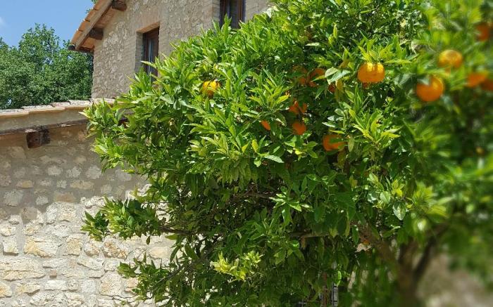 Agriturismo Il Merangolo