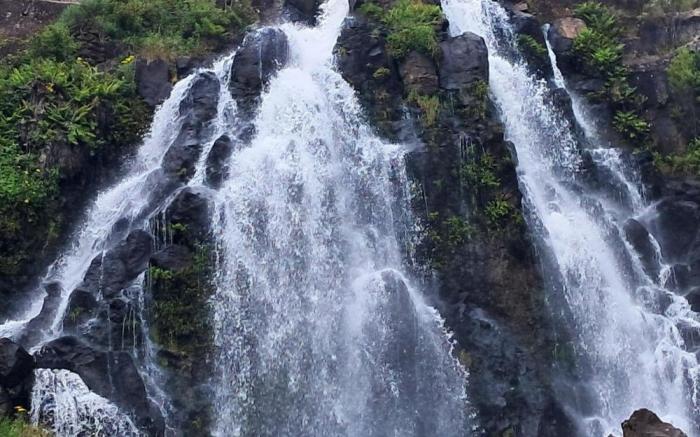 Waratah Waterfall Retreat Unit 3 Free Pay TV  WiFi