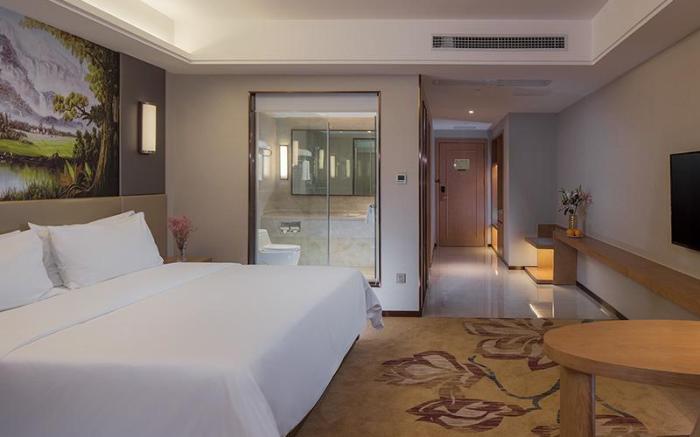 Vienna International Hotel Guiyang Qingzhen Plateau Pearl Junyue International