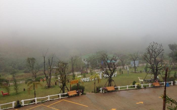 Foresta Hill Resort