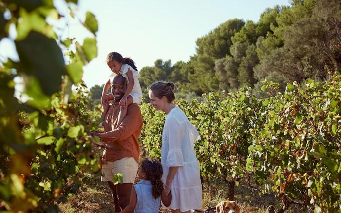 Andorra Alba S3 in El Tarter