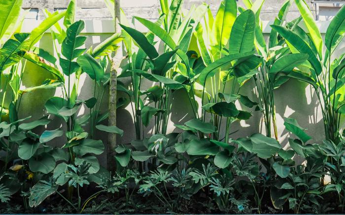 The Urban Retreat- Family Friendly Villas Seminyak