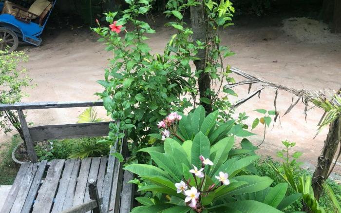 Sok Phen Homestay