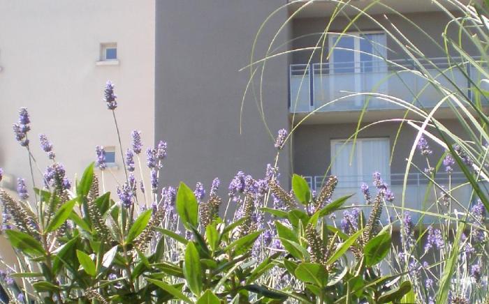 Residence Columba - Studios meubles Agen Sud