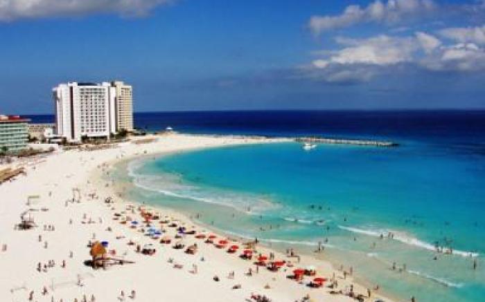 Salvia Cancun