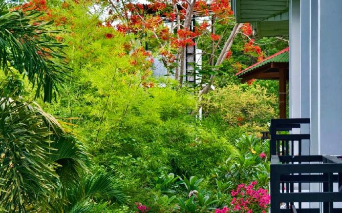 Tana Mysterious Garden Resort