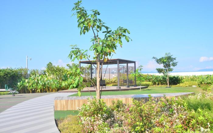 Davao Abreeza Central Suite