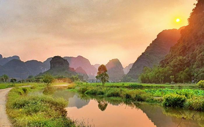 Trang An Rice Field 