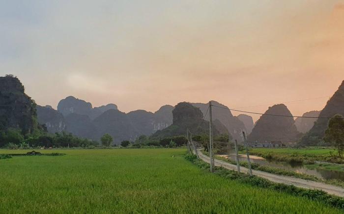 Trang An Rice Field 