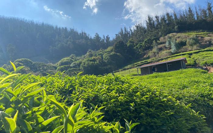 Wild and Free Farm Stay