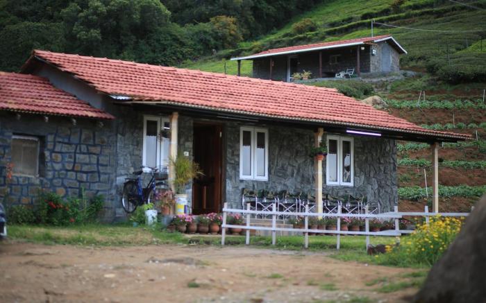 Wild and Free Farm Stay
