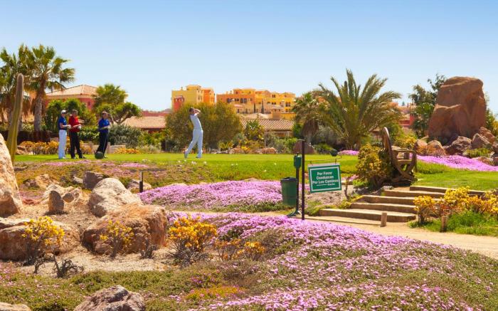 Desert Springs Resort