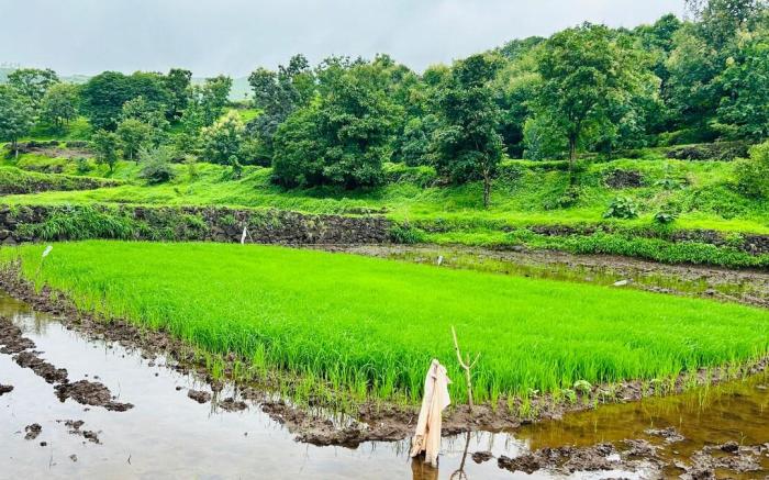 Kaladri Sahyadri Hill Farm Stay