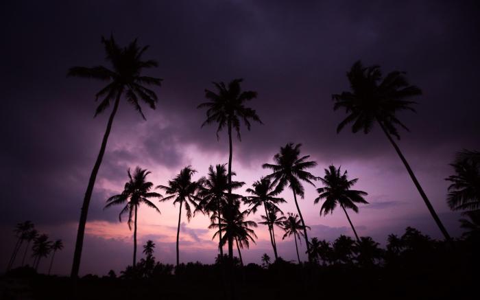 Sri Sharavi Beach Villas and Spa