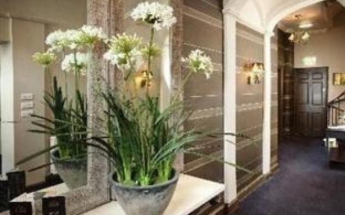 Albany Hotel