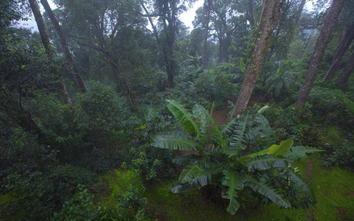 Madhumanthra Resort