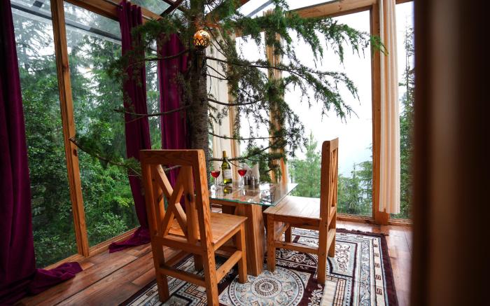 Thecozynest Jacuzzi treehouse