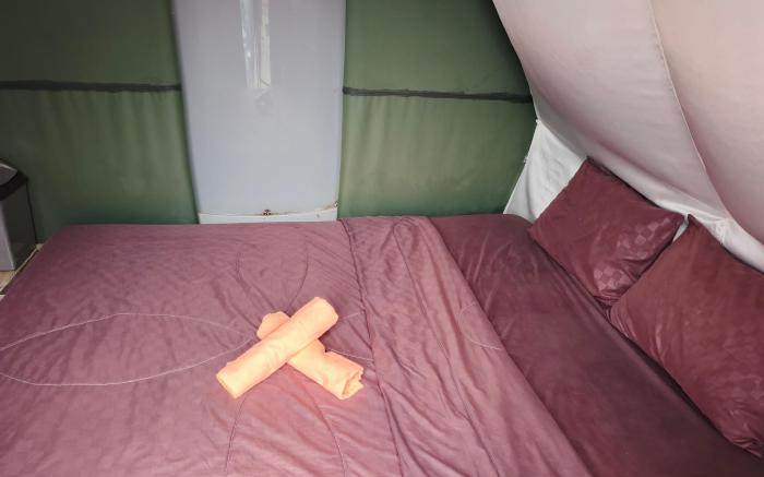 Catur lawa glamping bedugul 