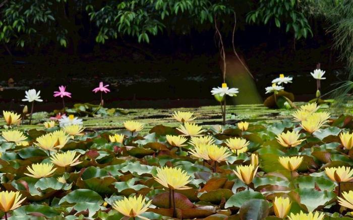 Saikaew Resort