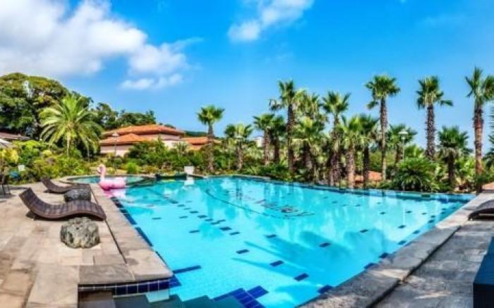 Jeju Palm Valley Pool Villa