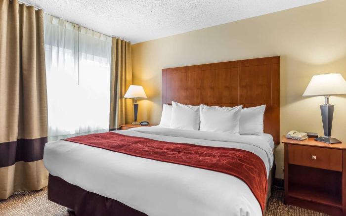 Comfort Suites North Dallas
