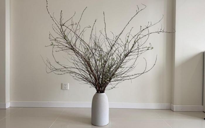 Studio 38m2 Lavida Plus, Phu My Hung District 7