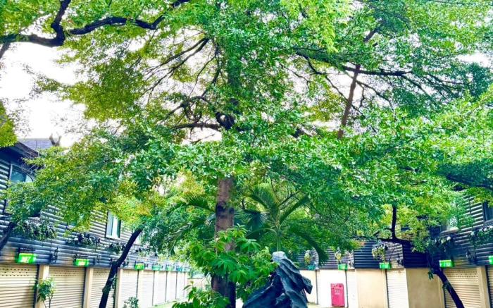 常春藤汽車旅館