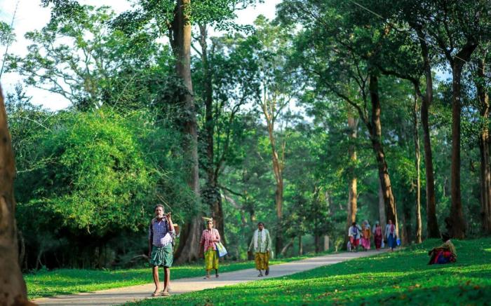 Tusker Inn Forest Lodge