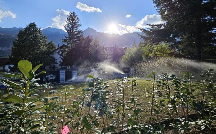 Diamond Resort Busteni