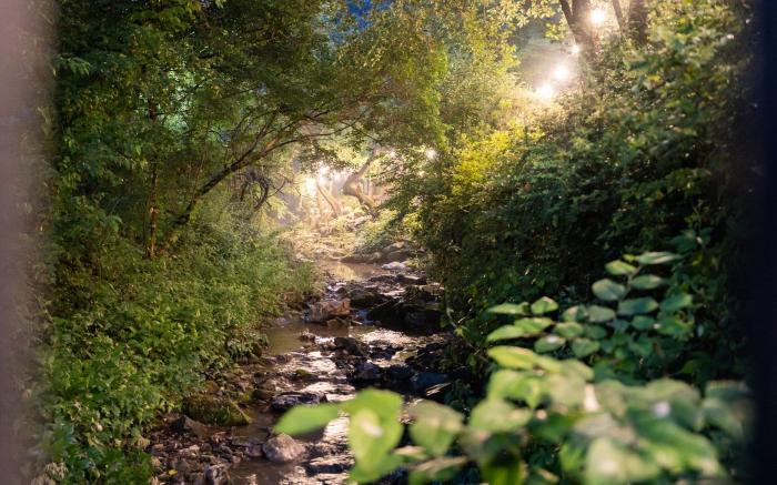 Chuncheon Haven Forest Pension