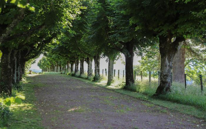 Les chambres d'Hôtes du Château de Vaulx