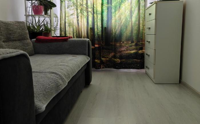 HANA Apartament