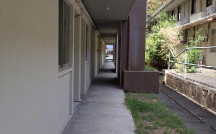 Panchito’s Little Nest