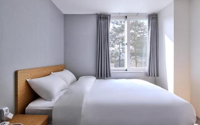 D Stay Hostel Dongdaemun