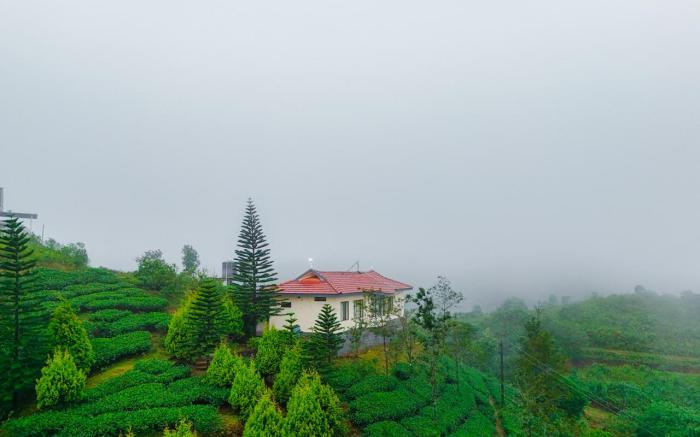 Aruvi Vagamon by VOYE HOMES