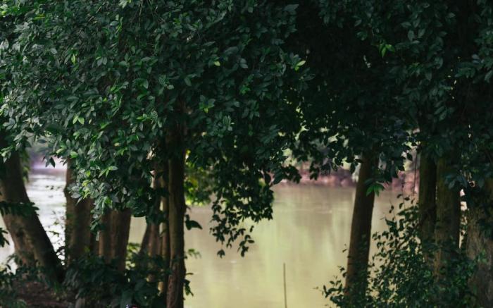 Chong Khaep Aingkwai Resort