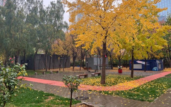 St. Matthew Residences （Beijing Sunshine 2I）