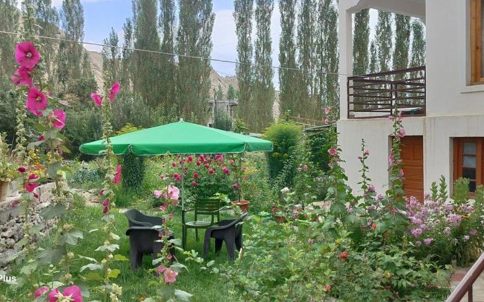 Nima's Villa