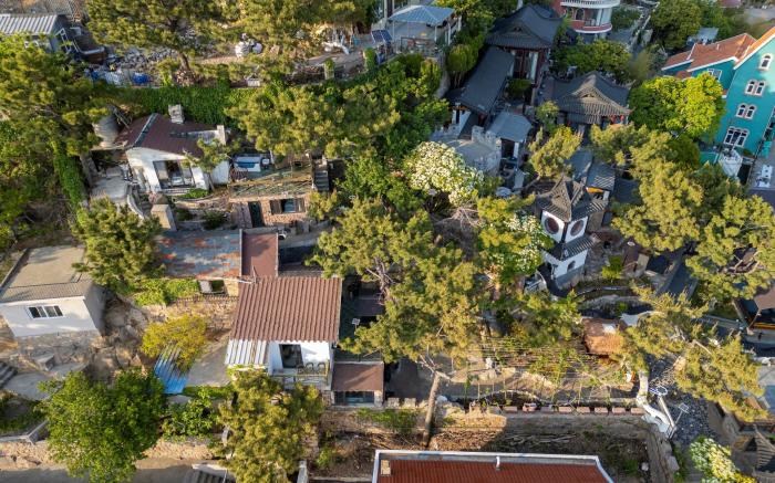 Laoshan Swan Castle Vacation Garden B&B