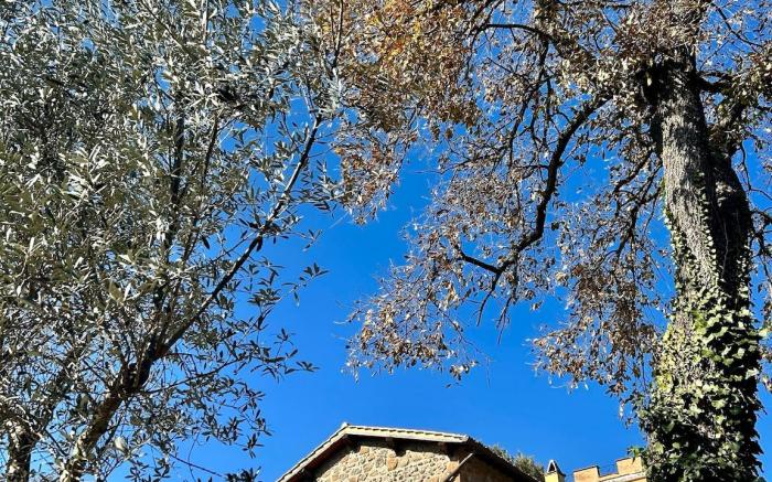 The Barn - Podere La Branda Bio Agri Resort