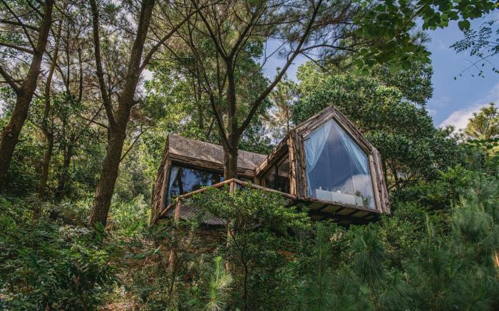 The Big Pine House