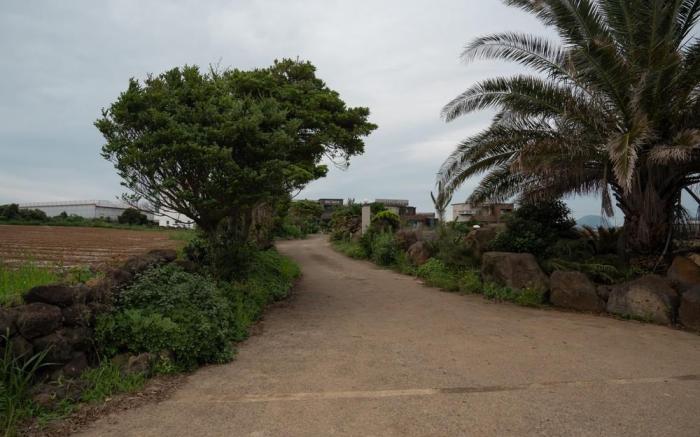 Jeju Aneuk Stay