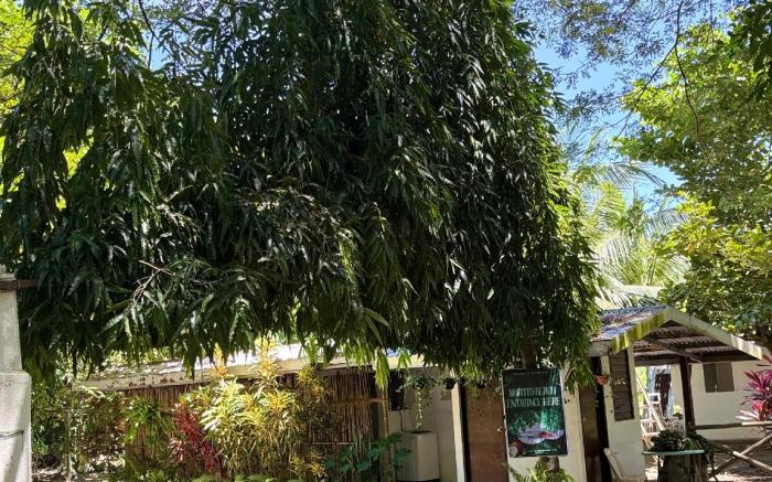 Morato beach and inn