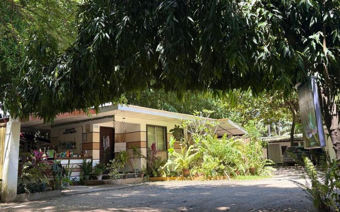 Morato beach and inn